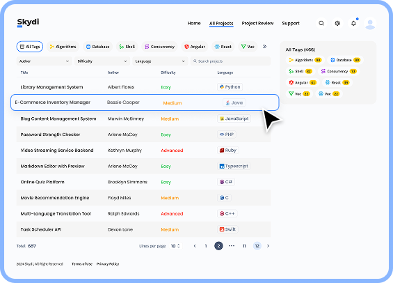 Skydi platform preview